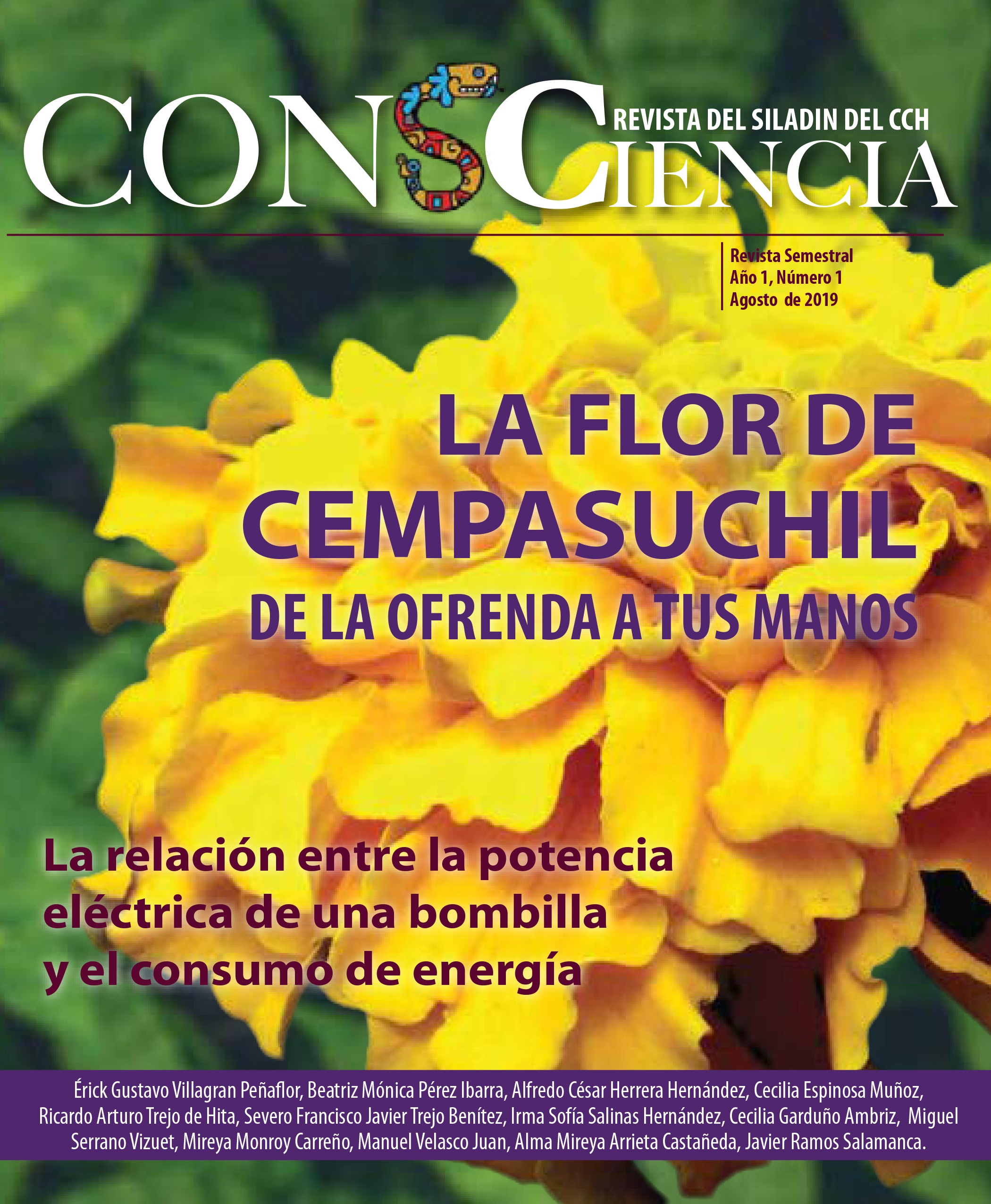 La flor de Cempasuchil | Gaceta del Colegio de Ciencias y Humanidades
