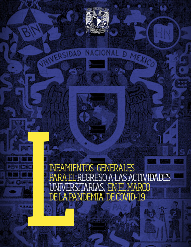 Lineamientos generales para el regreso a las actividades universitarias, en el marco de la pandemia de Covid-19