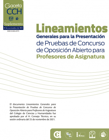 Lineamientos Generales Para La Presentación De Pruebas De Concurso De ...